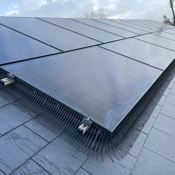 Solar Panel with bird blocker